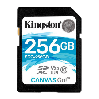 Kingston 256GB Canvas Go! SD Card, Read-Write 90-45 MB-Sec, Lifetime Warranty SDG-256GB Top